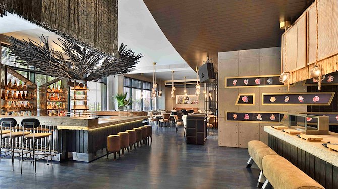 What is ADRIFT Kaya?